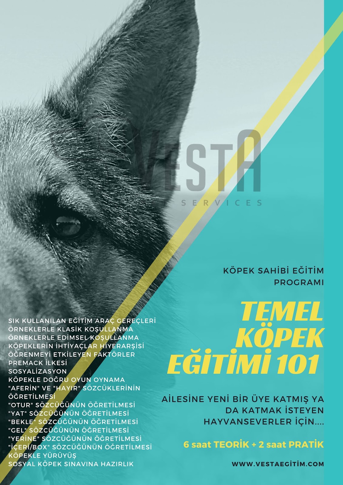 İzmir Köpek Oteli