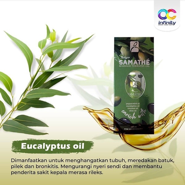 Eucalyptus Oil - Komposisi Samathe Oil
