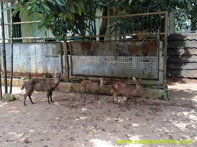 Children Zoo Ragunan