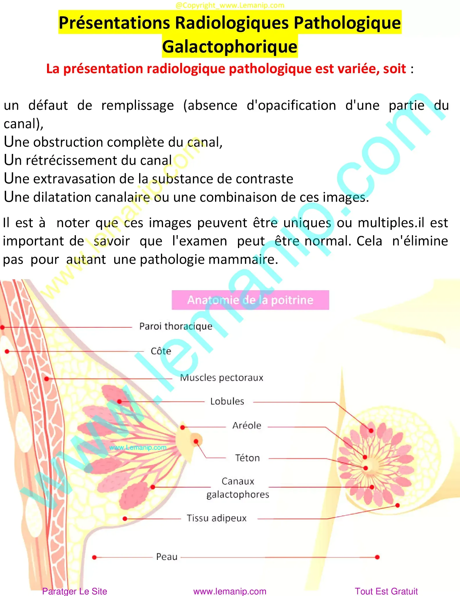 nancy ausonio mammography center,fda mammography facilities,westmed mammogram,tully center mammogram,jefferson mammogram,legacy mammogram,baystate mammography,reflections mammogram,ohana mammography,mammogram on period