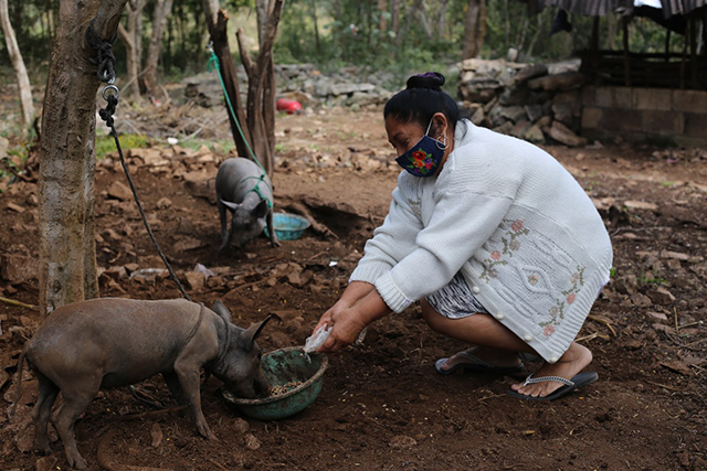 DIF Yucatán prepara estrategias de alimentación para el 2022