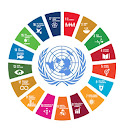 La ONU y los ODS