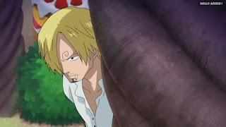 ワンピースアニメ WCI編 794話 サンジ Vinsmoke Sanji | ONE PIECE Episode 794