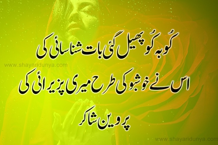 Top 20 khushboo poetry in urdu |  khushboo shayari 2 lines | khushboo quotes