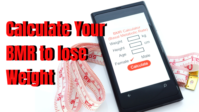 Simple BMR Calorie Calculator to Lose Weight