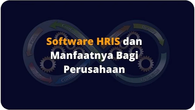 Aplikasi HRIS dan Manfaatnya Bagi Perusahaan