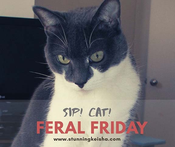 Feral Friday: SIP! CAT!