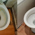 Nettoyage de salle de bain : 4 astuces infaillibles avec du vinaigre blanc pour la nettoyer et la faire briller