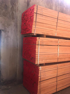 BEECHWOOD  READY  FOR  EXPORT