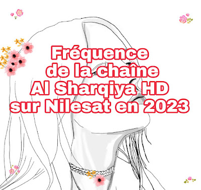 Fréquence de la chaîne Al Sharqiya HD sur Nilesat en 2023