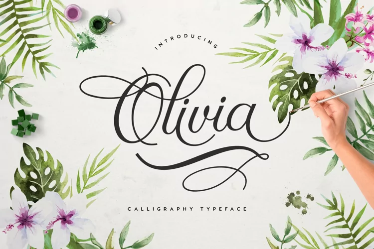 Olivia font