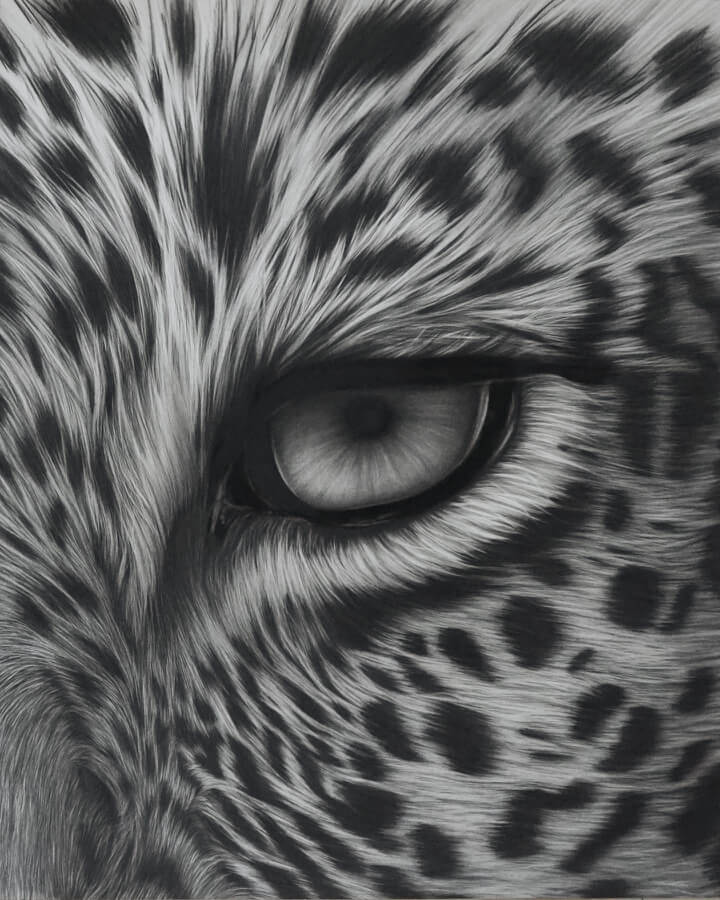 08-Leopard-eye-and-fur-detail-Carly-Renee-www-designstack-co
