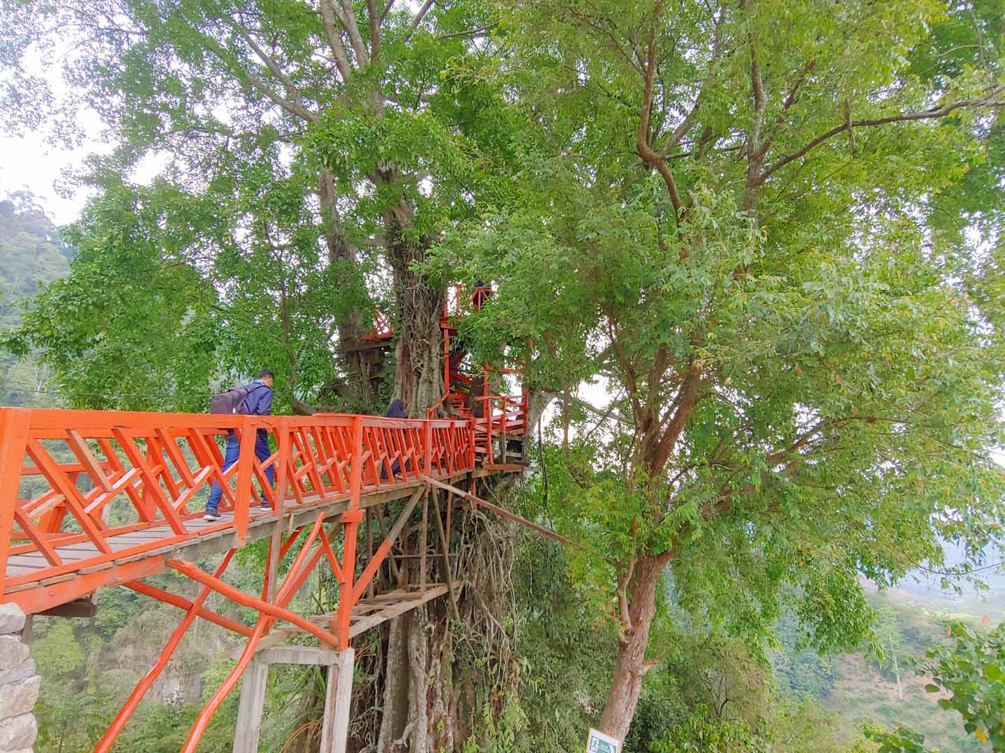 Rumah Pohon Air Terjun Ciherang Bogor