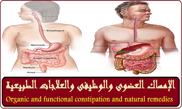الإمساك العضوى والوظيفى والعلاجات الطبيعية  Organic and functional constipation and natural remedies