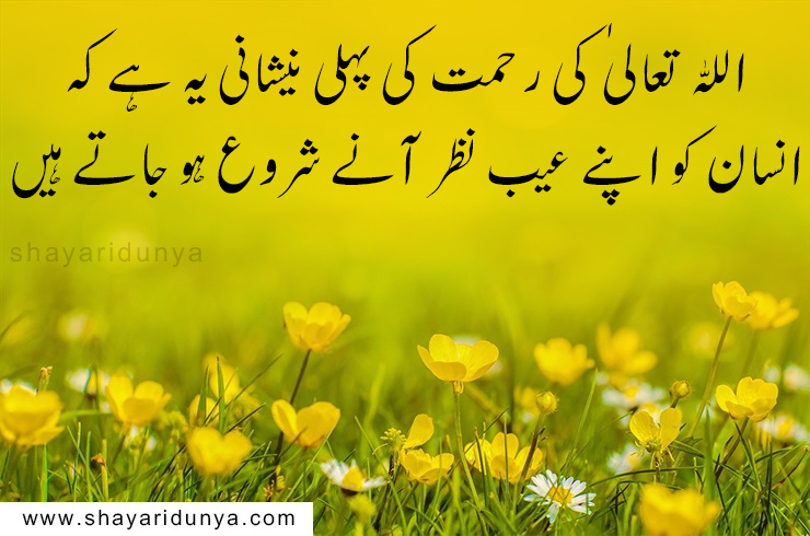 top 20 Best islamic quotes in urdu,islamic status in urdu,islamic quotes images,islamic quotes in urdu about life,islamic heart touching quotes