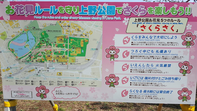 tokyo ueno park cherry blossom rules