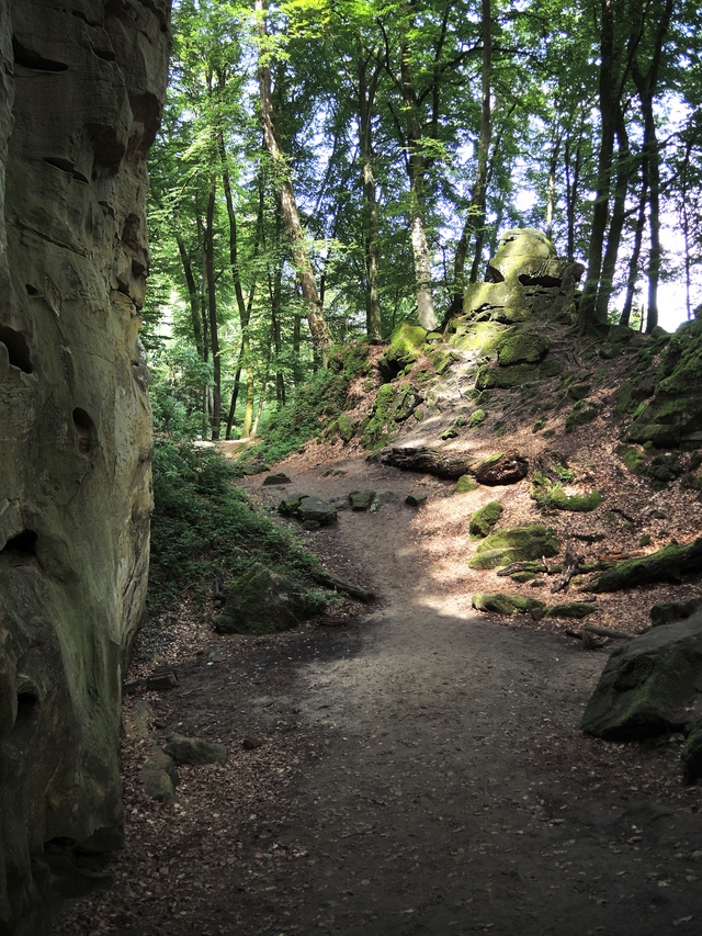 Trier: wandelen door de duivelskloof nabij Echternach