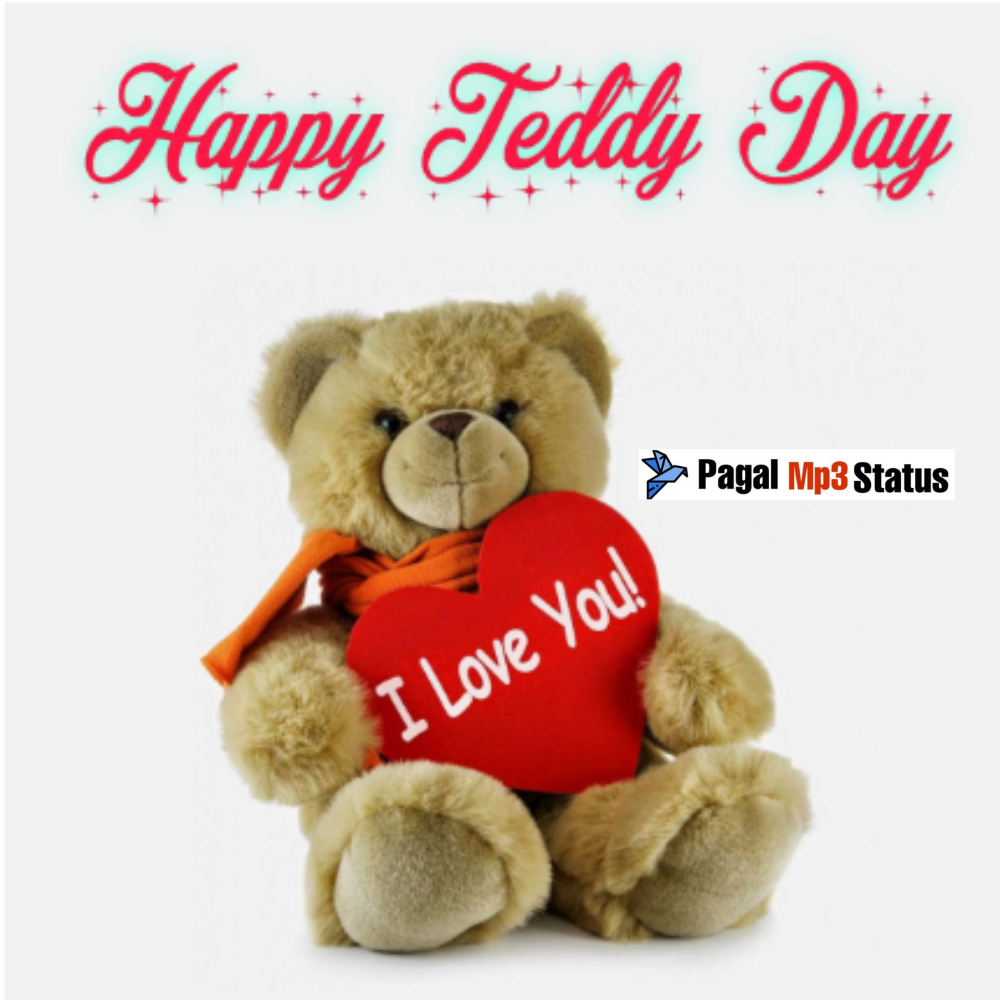 Happy Teddy Day Status