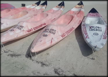 "Flamingo Kayaks"