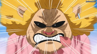 ワンピースアニメ WCI編 795話 ペコムズ Pekoms | ONE PIECE Episode 795