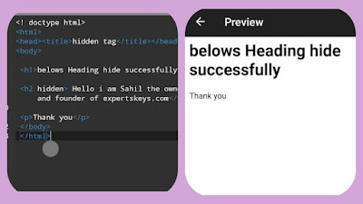 hidden tag for hide paragraph in html,hidden tag in html