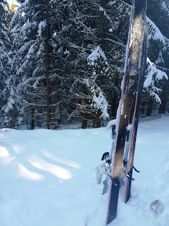 Narty skiturowe w śniegu