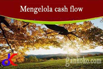 https://www.gankoko.com/2020/10/meningkatkan-pengelolaan-cash-flow.html