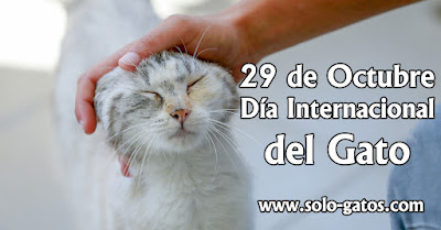 29 de octubre: Día Internacional del Gato