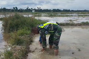 Babinsa Koramil 09/Banda Mulia Melaksanakan Pendampingan Pembuatan Lahan Penyemaian Benih