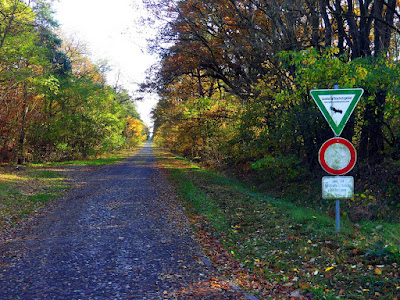 Langenlehstener Tannen