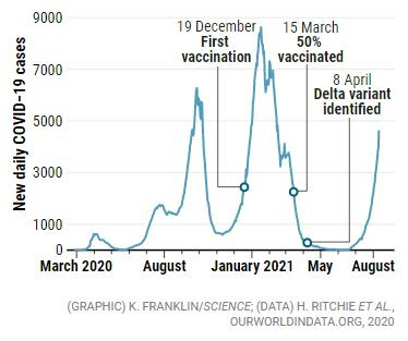 Israel vaccine data chart