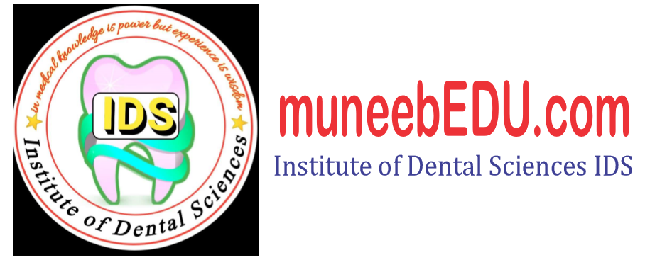 muneebedu.com