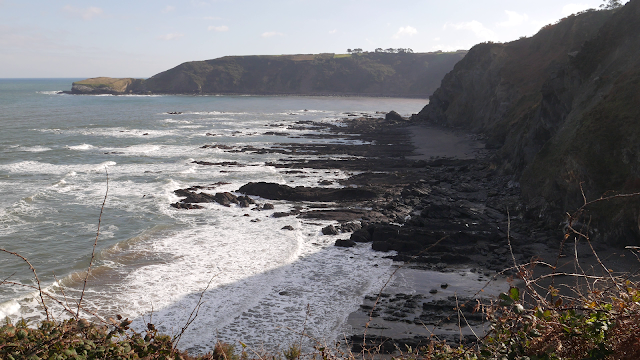 Playa de Viodo y Cueva