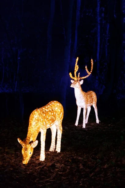 reindeer decoration outdoor 1