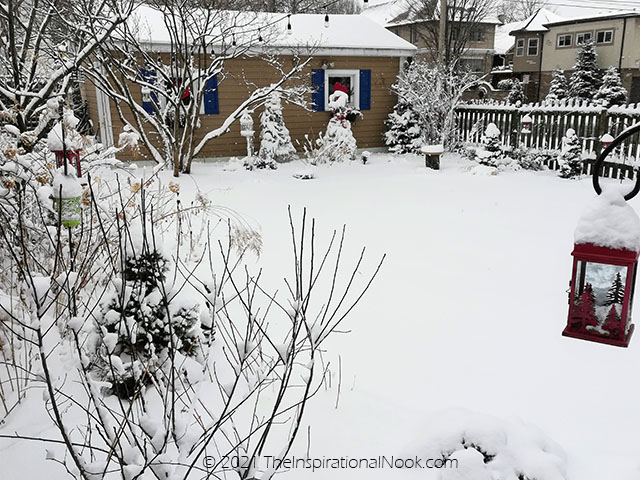 snowy garden, winter interest