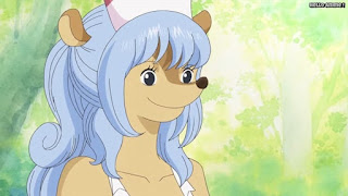 ワンピースアニメ ゾウ編 775話 トリスタン Tristan | ONE PIECE Episode 775