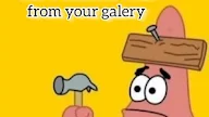 Apa Itu Show Random Video From Your Galery Meme Artinya