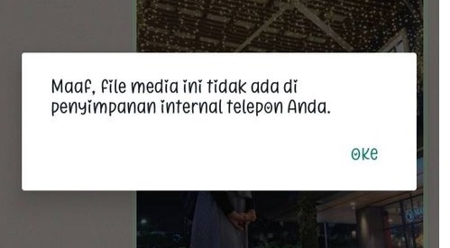 Cara Mengatasi File Media Tidak Ada di Penyimpanan Internal atau Kartu SD