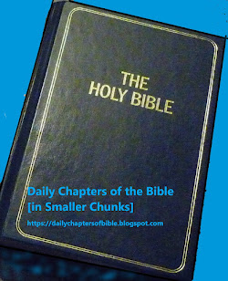 Daily Chapters of the Bible [in Smaller Chunks]