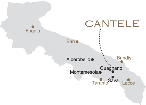 Cantele winery in Puglia