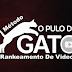 Baixe grátis curso completo - RANQUEAMENTO DE VÍDEOS NO YOUTUBE O PULO DO GATO