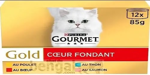 nourriture pour chat