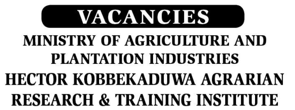 Agriculture Ministry Vacancies