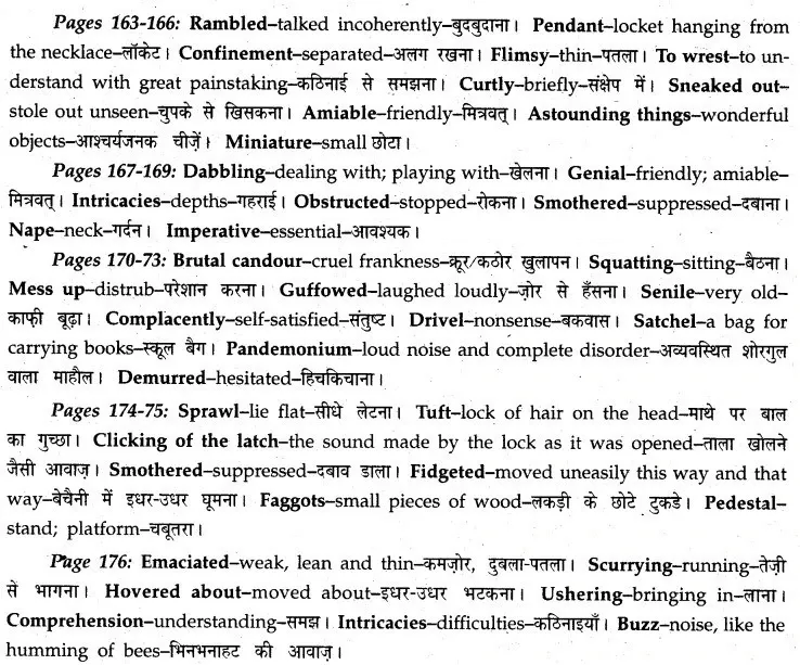 MP Board Class 12th English A Voyage Solutions Chapter 20 Swami and Friends (R.K. Narayan)