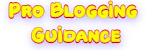 Pro Blogging Guidance