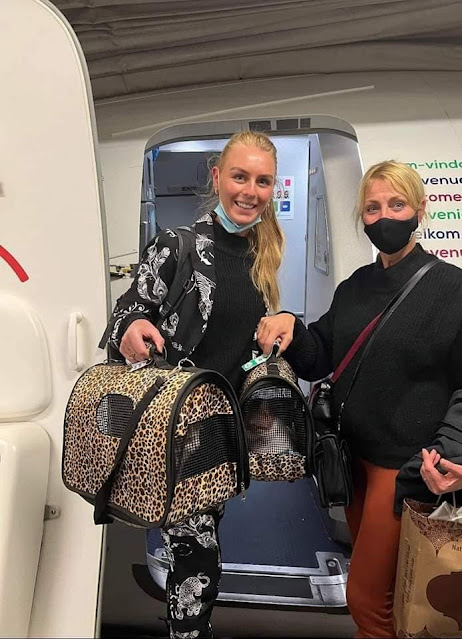 فتاتين من هولندا تتبنى قطتين من سوريا وصلوا اليوم إلى هولندا…!!