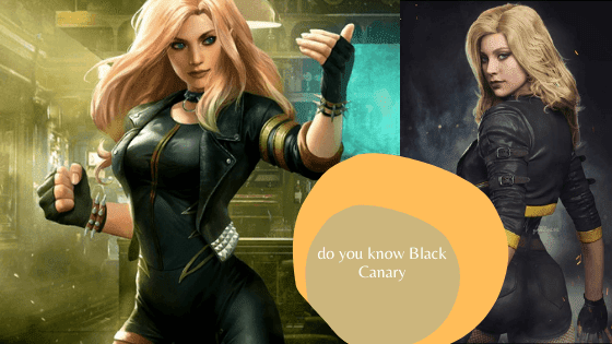 do you know Black Canary