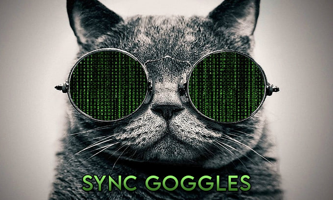 Sync Goggles
