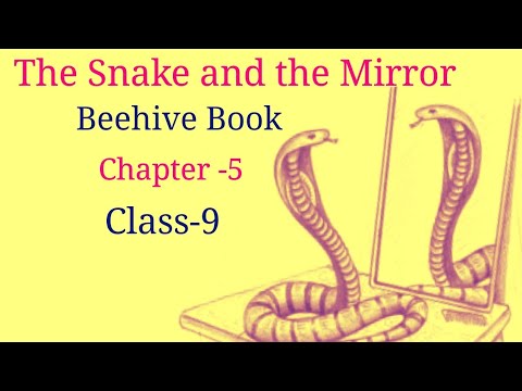 NCERT Solutions for Class 9 English Beehive Chapter 5 The Snake and the Mirror(Thinking about the Text and language)