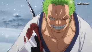 ワンピースアニメ 934話 ワノ国編 | ロロノア・ゾロ | ONE PIECE Roronoa Zoro